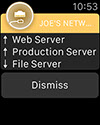 Joe`s Network Diagnostic Analyzer Monitor Scanner and Security Utility Professional  - Apple Watch Features - Mobilutions.eu